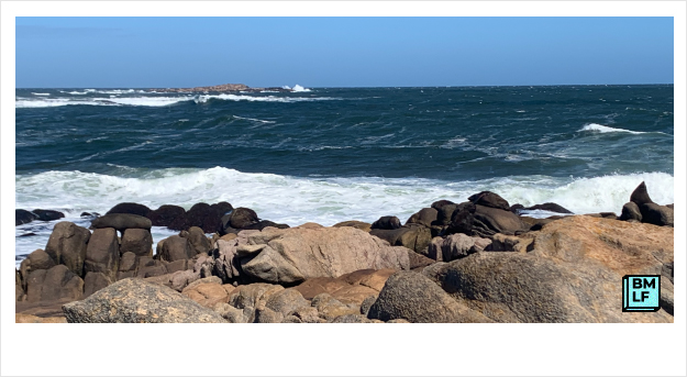 Leões marinhos deitados nas pedras em frente ao mar, Cabo Polônio, Uruguai